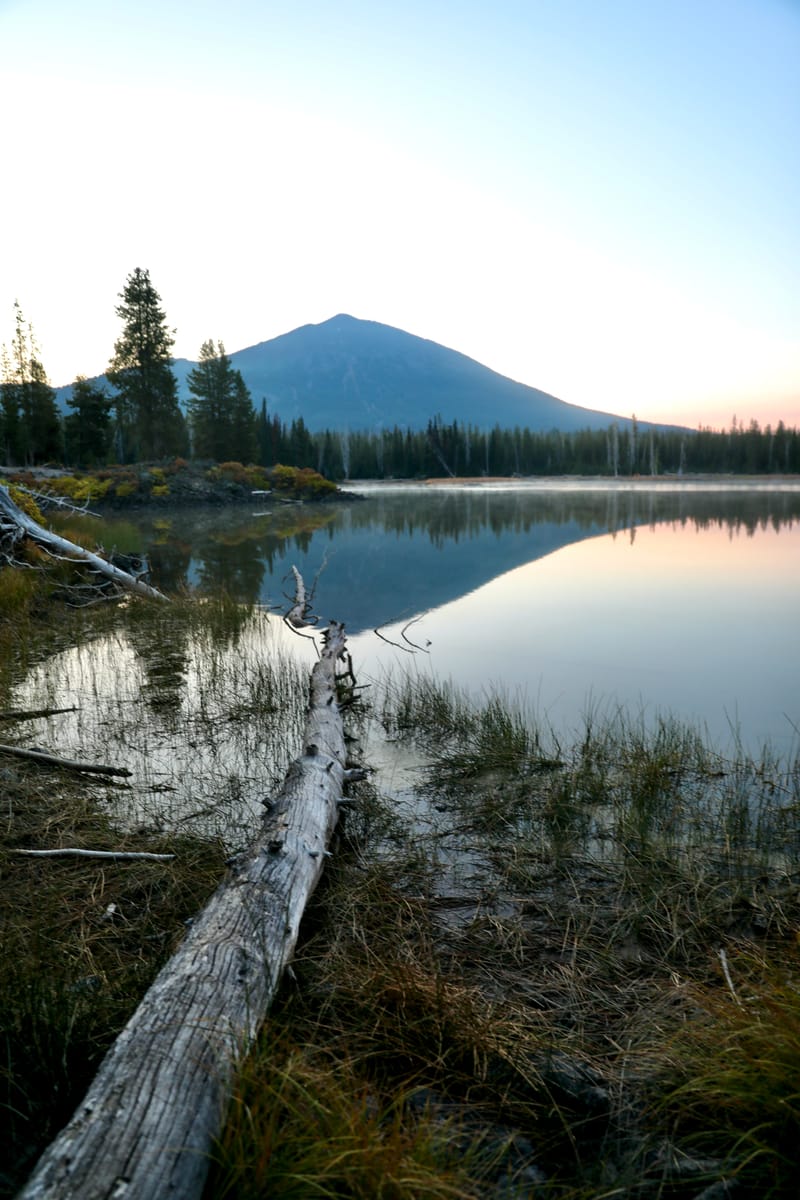 8. TOP de TOP : Reflets et bouts de bois sur le lac Sparks (vtl)
