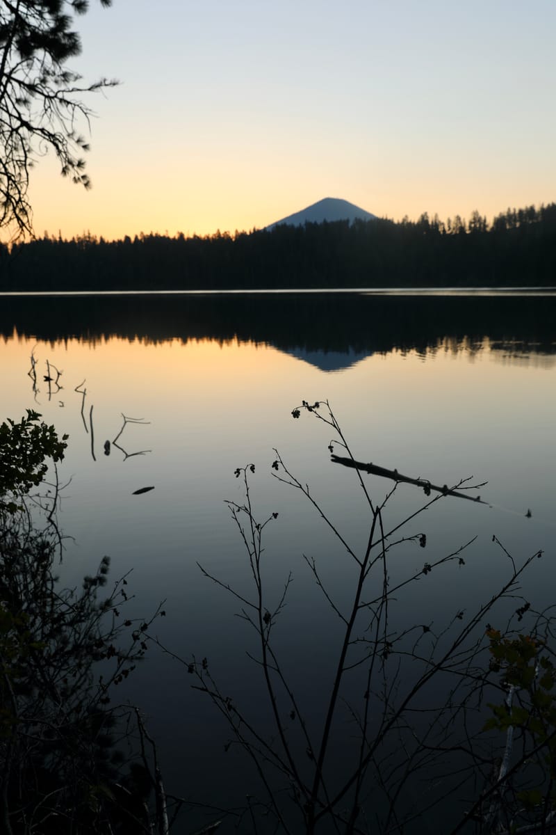 8. TOP de TOP : Reflets et bouts de bois sur le lac Sparks (vtl)