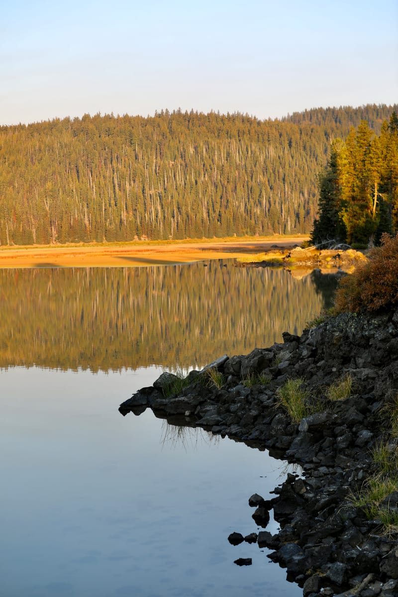 8. TOP de TOP : Reflets et bouts de bois sur le lac Sparks (vtl)