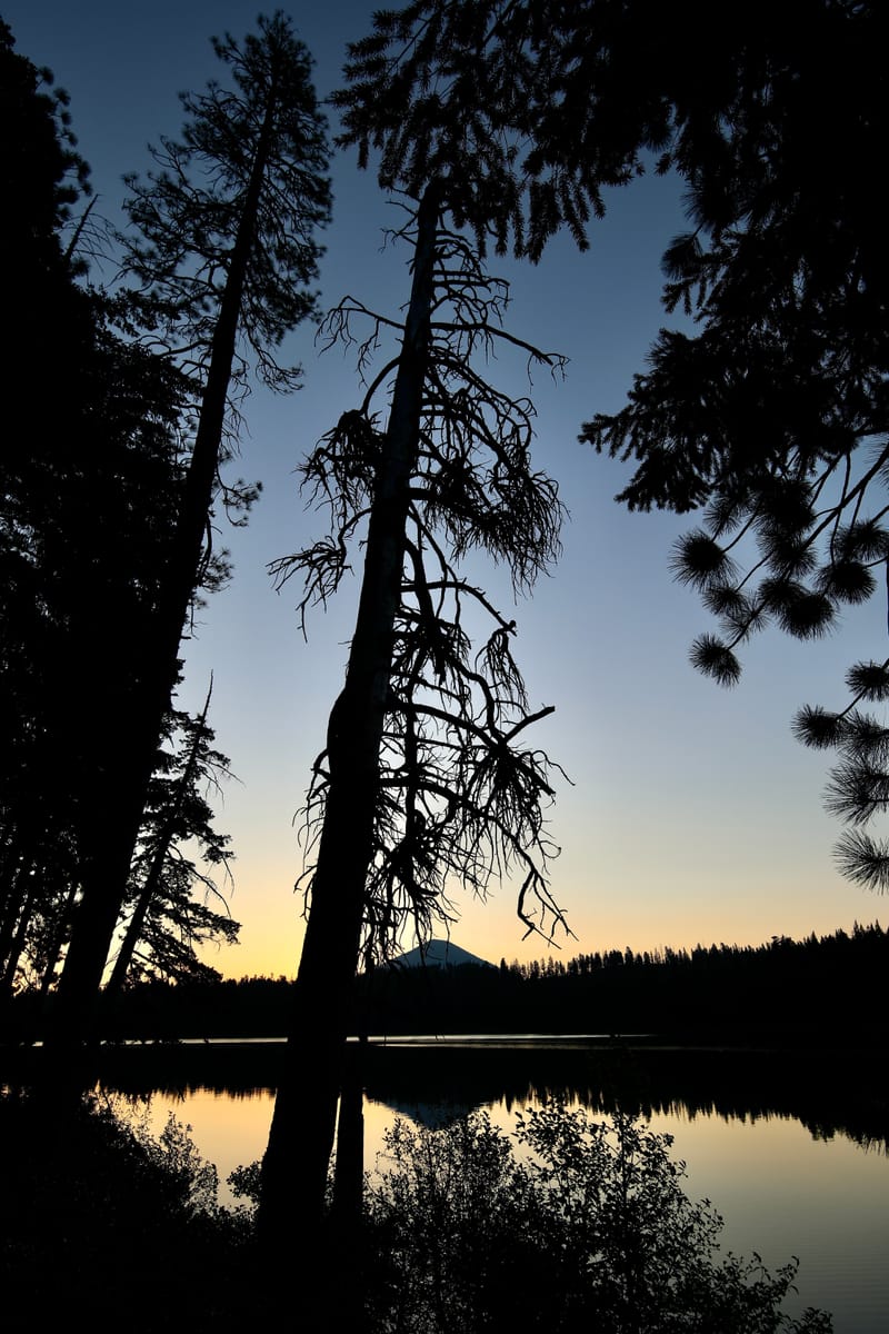 8. TOP de TOP : Reflets et bouts de bois sur le lac Sparks (vtl)