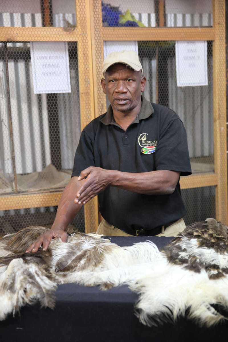 6. AFRIQUE DU SUD : A la recherche de l'identité Sud-Africaine...