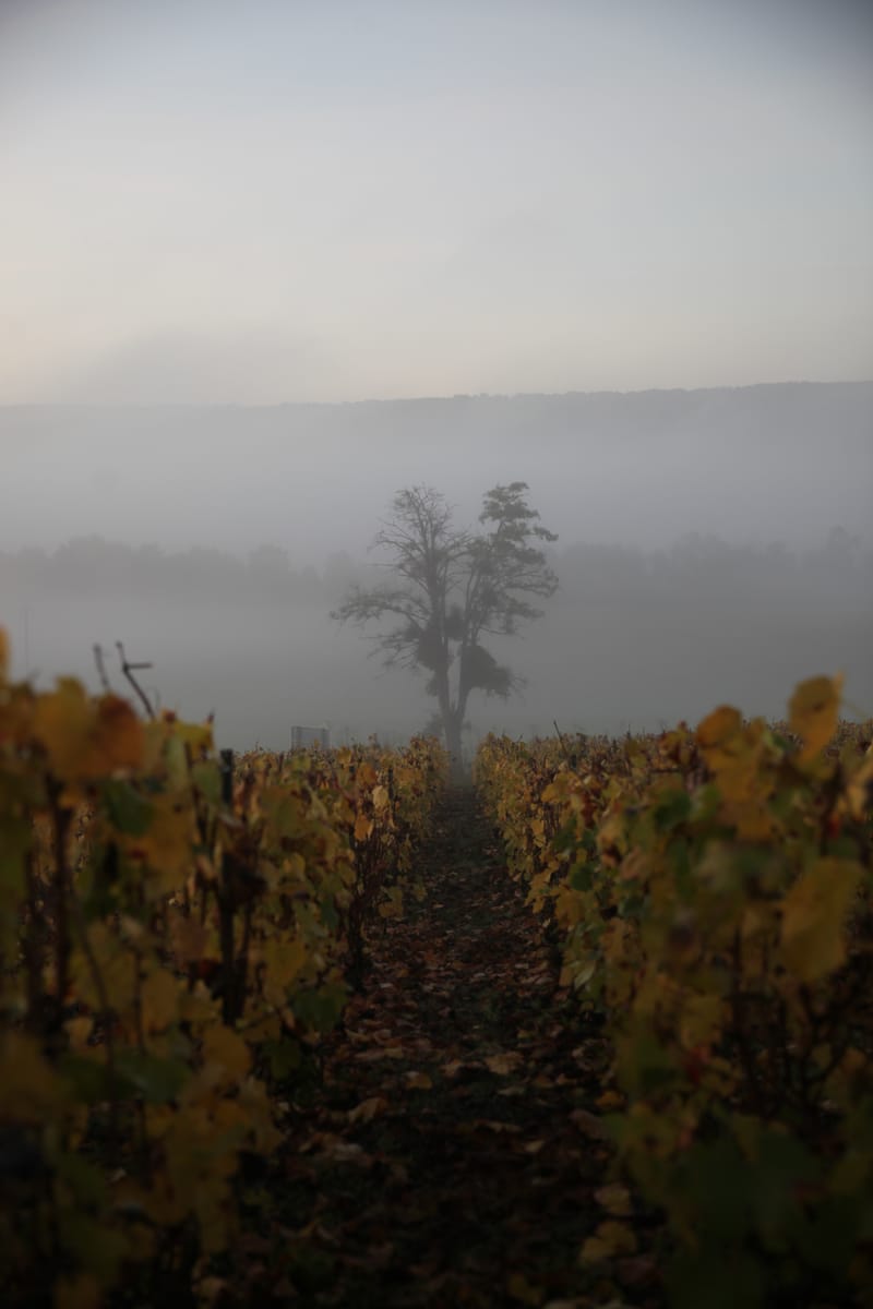 1. TOP de TOP à la verticale