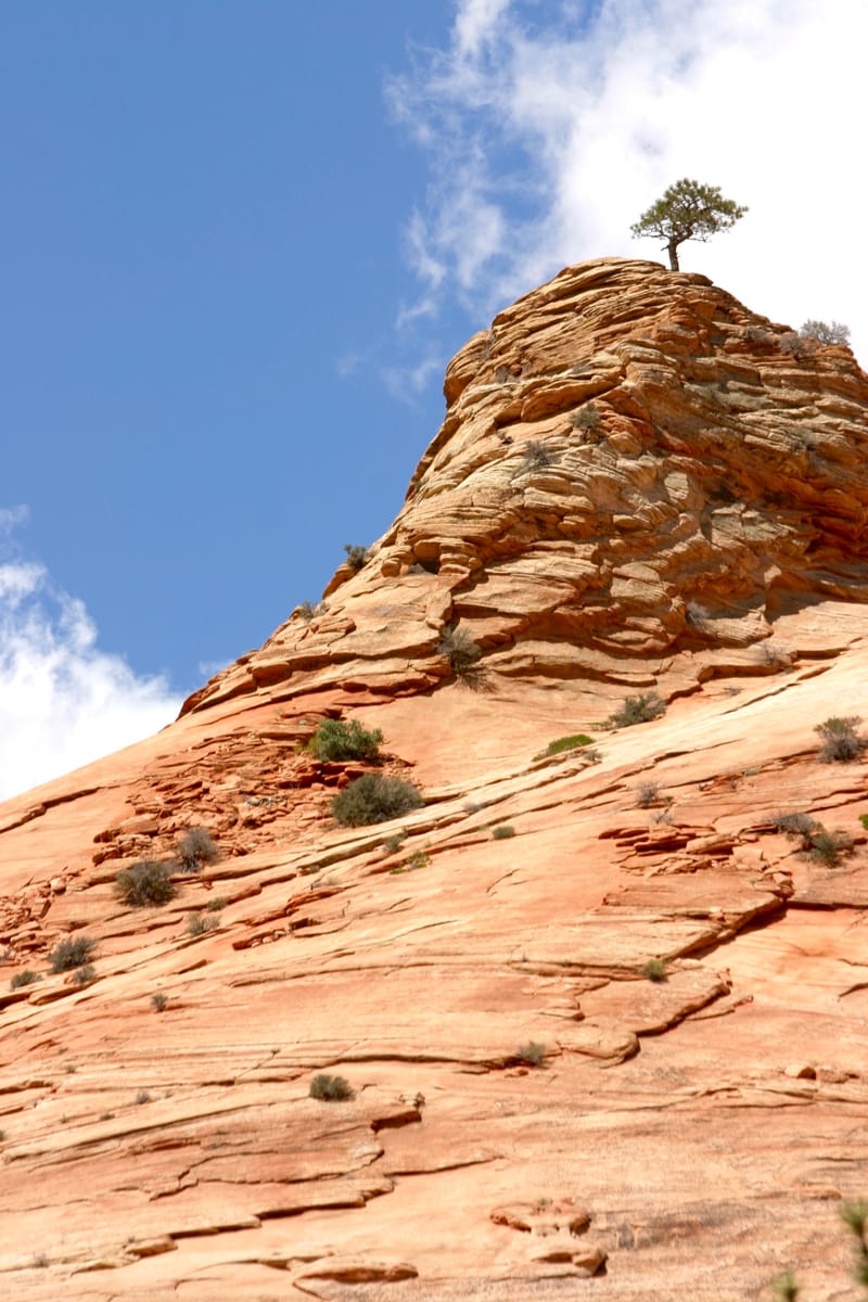 1. TOP de TOP à la verticale