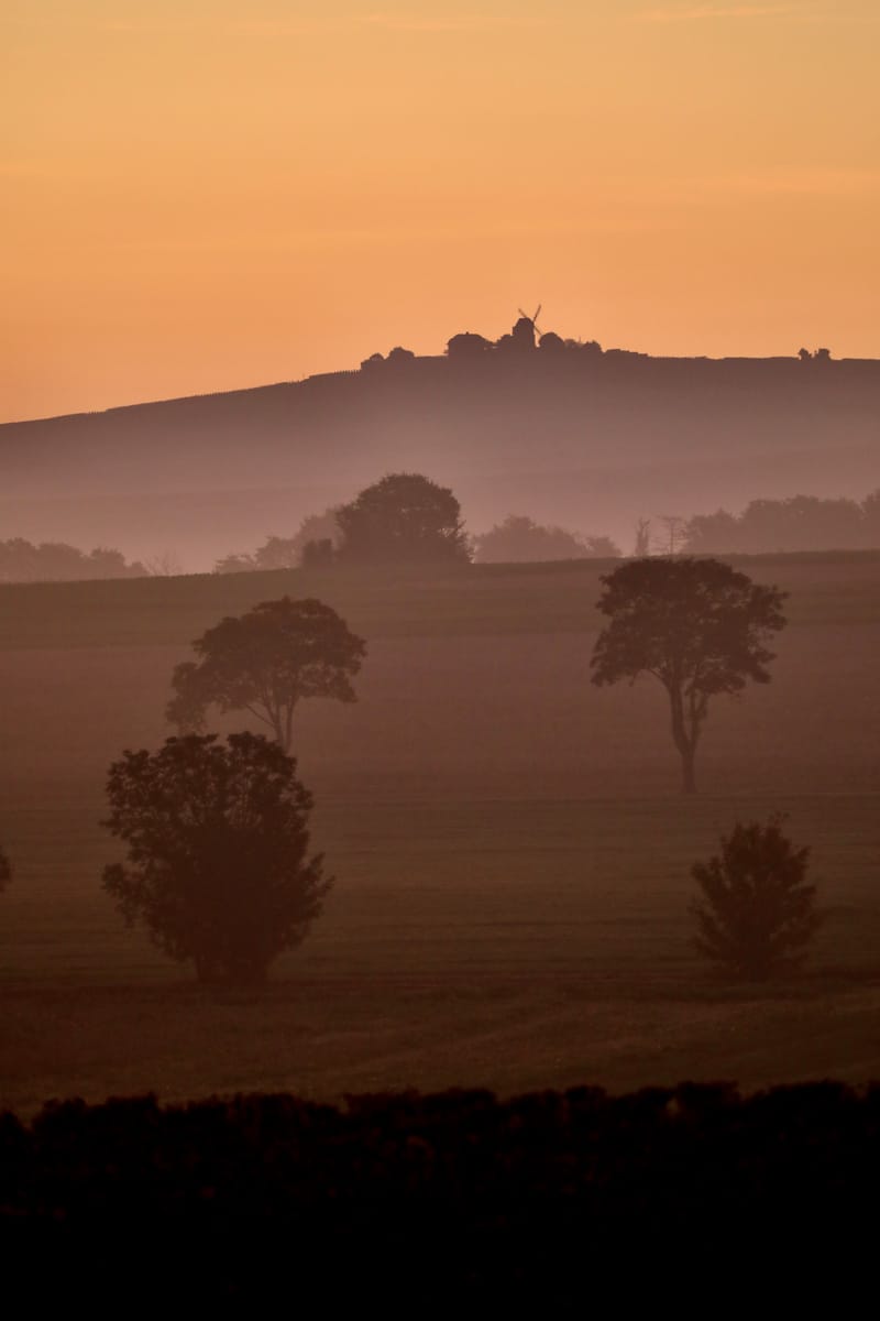 1. TOP de TOP à la verticale