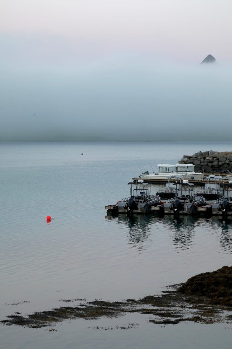 1. TOP de TOP à la verticale