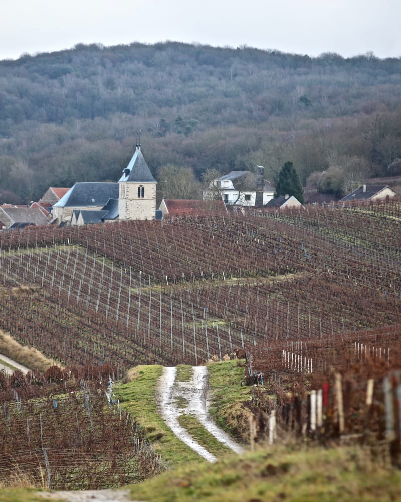 6. TOP de TOP : Eglises, temples, synagogues et autres mosquées (vtl)