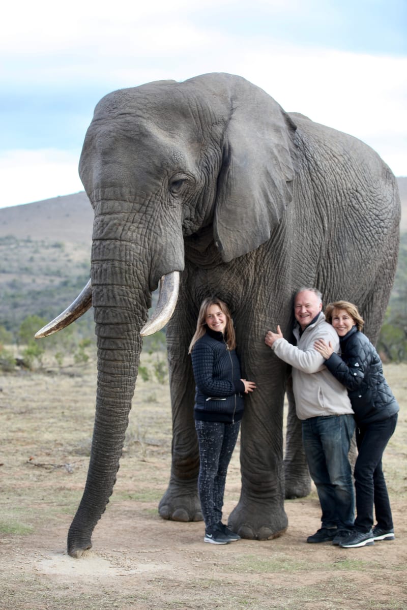 1. TOP de TOP des animaux à la verticale (VTL)