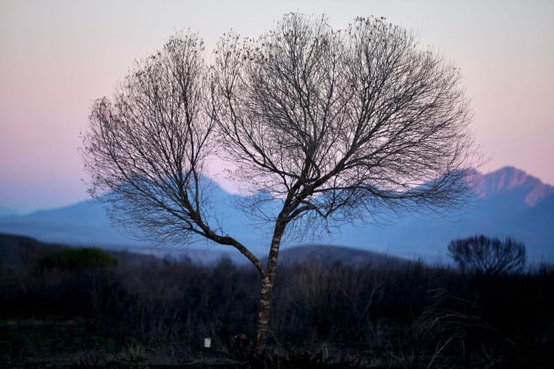 3. TOP de TOP : Animaux, paysages RN du Gwondana (HRZ)