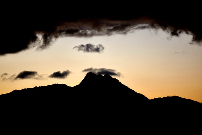 3. TOP de TOP : Animaux, paysages RN du Gwondana (HRZ)