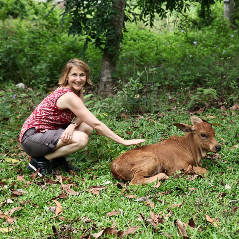 4. TOP de TOP : Animaux insolites têtes au carré