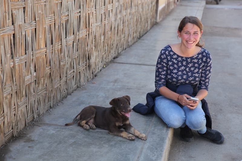 6. TOP de TOP : Animaux insolites posés à l'horizontal