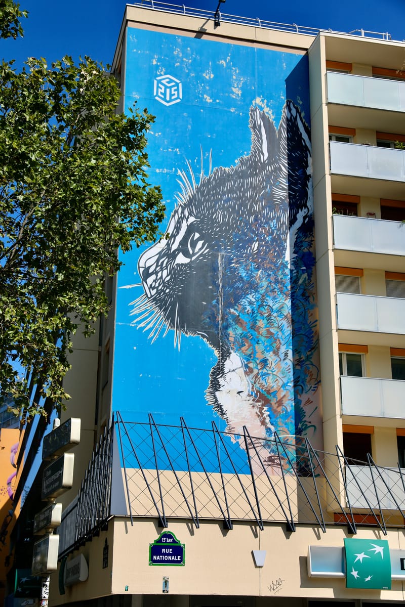 Street Art : Paris XIII à la verticale
