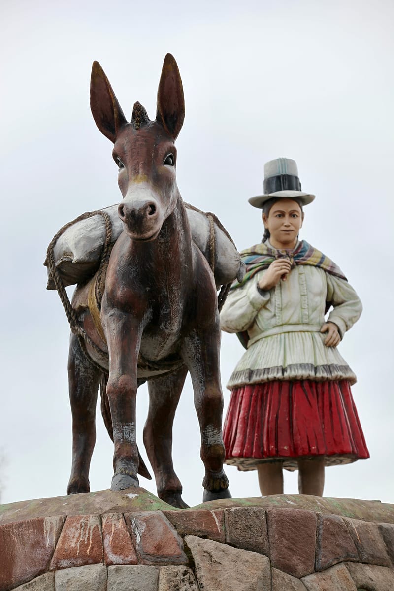 4. PEROU 1 : Visages de la Jeunesse (vtl)