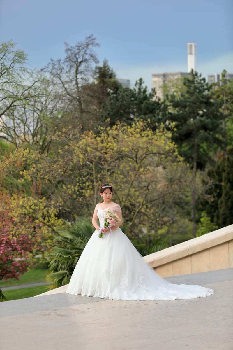 3. PARIS : Les Mariés de la Capitale Lumière (HRZ)