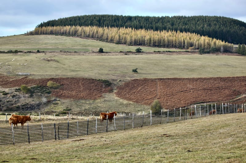 2. ARDECHE : Monts et merveilles chez Marianne & Yann (HRZ)