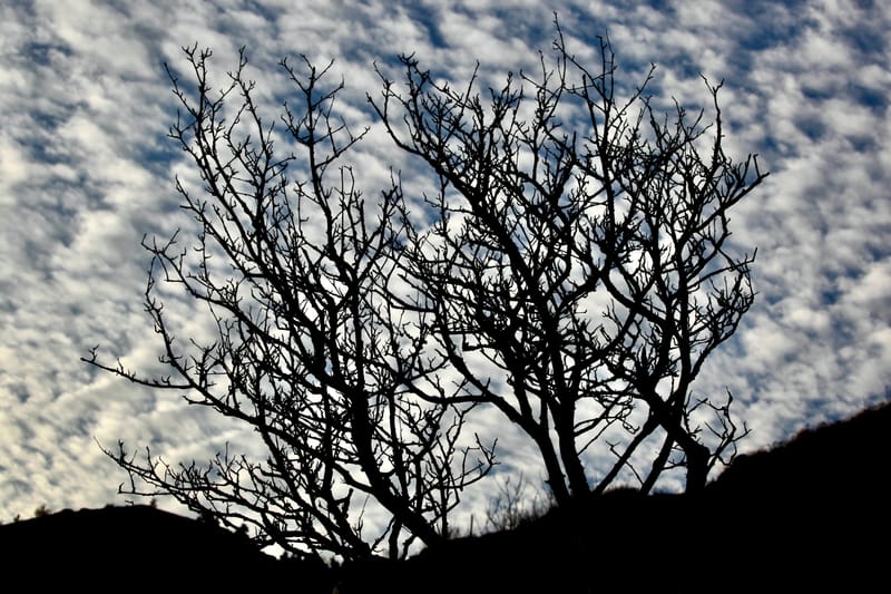 2. ARDECHE : Monts et merveilles chez Marianne & Yann (HRZ)