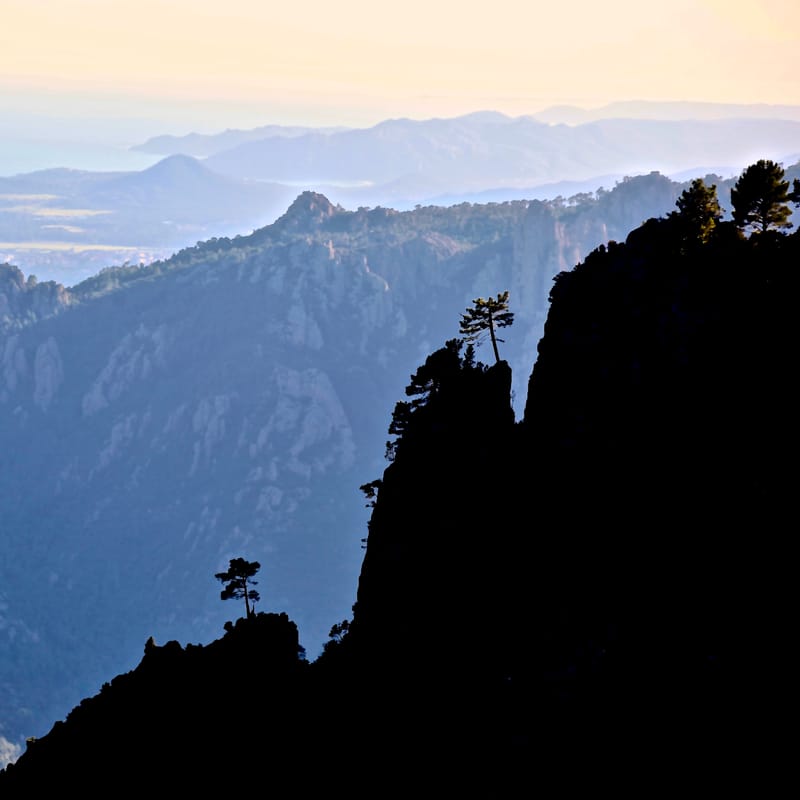 3. CORSE : chez l'ami Nicolas B., tout en carré