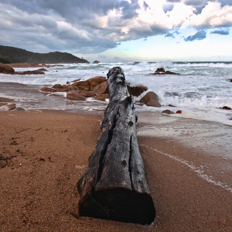 3. CORSE : chez l'ami Nicolas B., tout en carré
