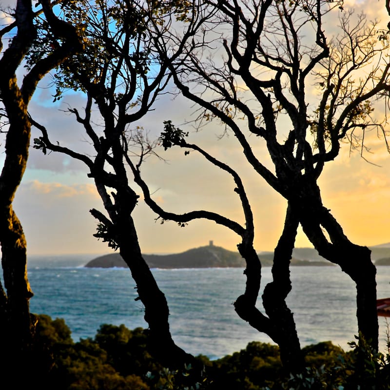 3. CORSE : chez l'ami Nicolas B., tout en carré