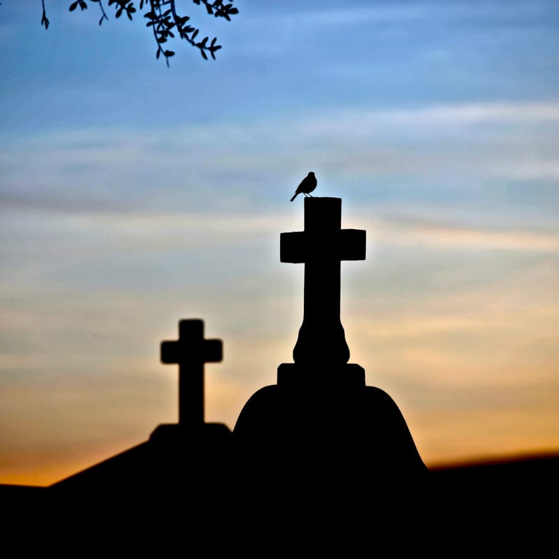 3. CORSE : chez l'ami Nicolas B., tout en carré