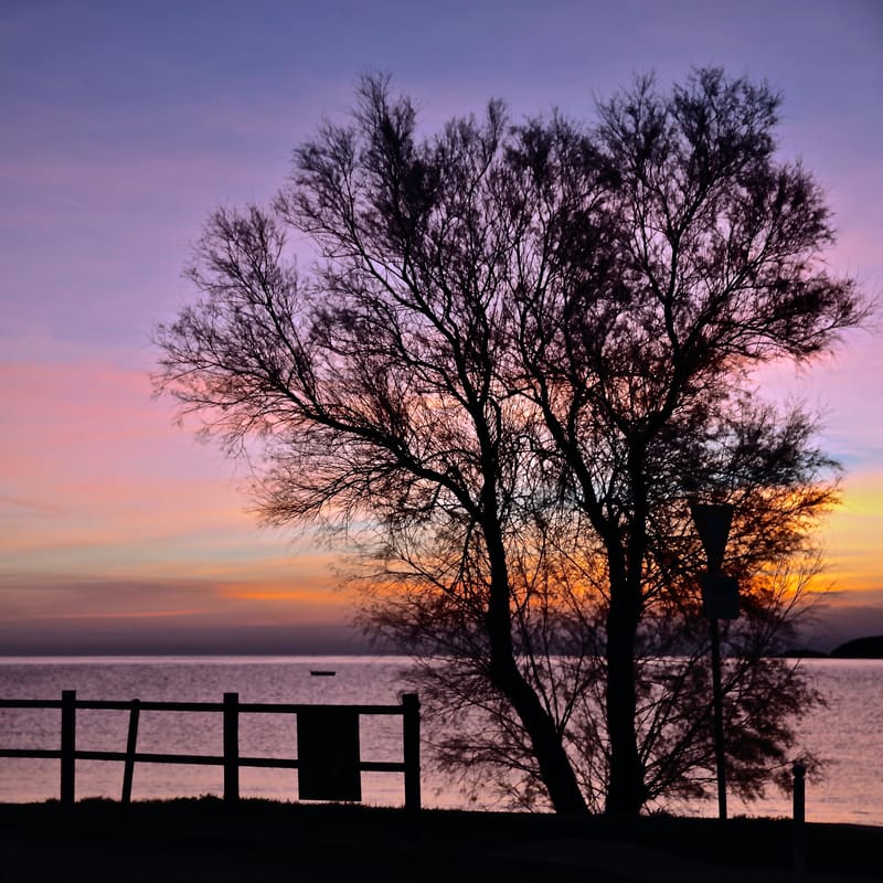 3. CORSE : chez l'ami Nicolas B., tout en carré