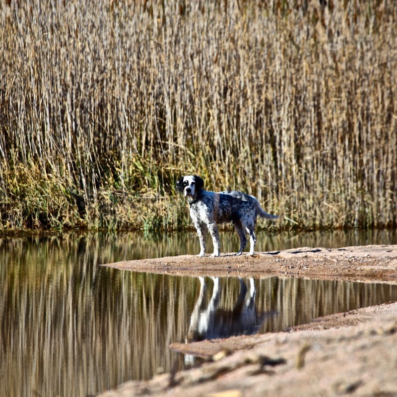 3. CORSE : chez l'ami Nicolas B., tout en carré