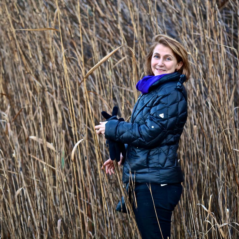3. CORSE : chez l'ami Nicolas B., tout en carré