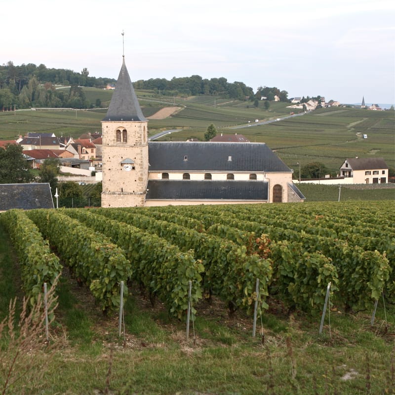 4. CHAMPAGNE : Cher pays de mon enfance (carré)