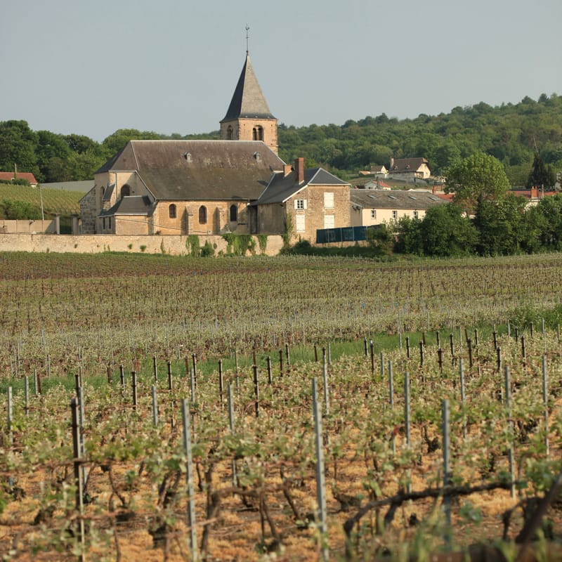 4. CHAMPAGNE : Cher pays de mon enfance (carré)