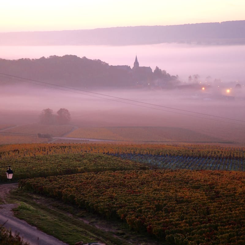 4. CHAMPAGNE : Cher pays de mon enfance (carré)