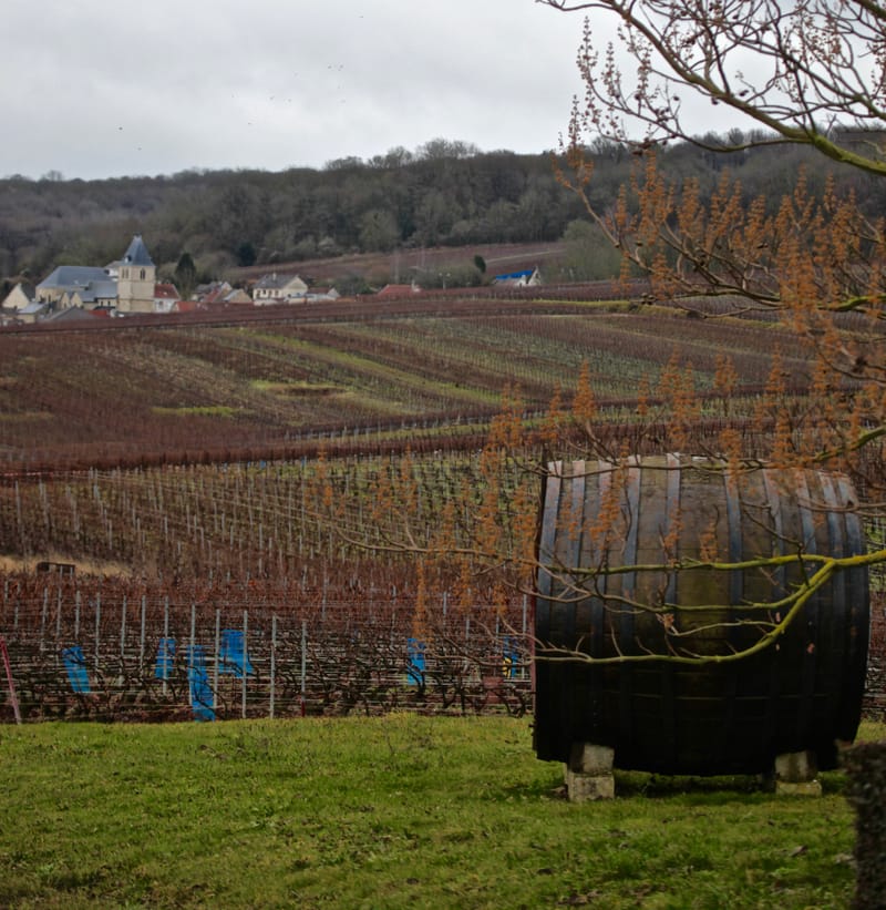 4. CHAMPAGNE : Cher pays de mon enfance (carré)
