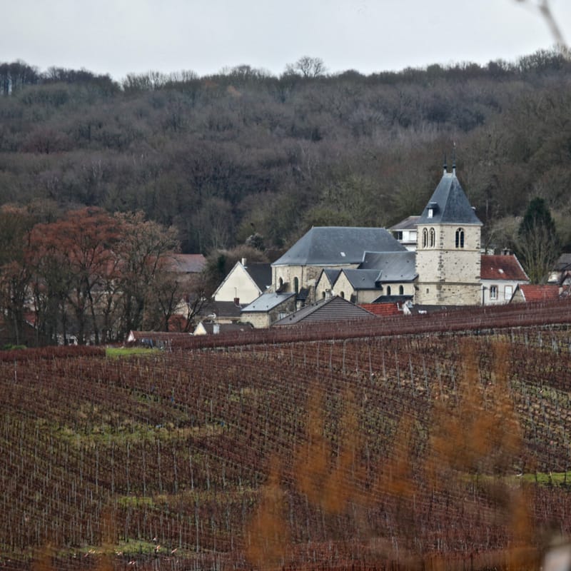 4. CHAMPAGNE : Cher pays de mon enfance (carré)