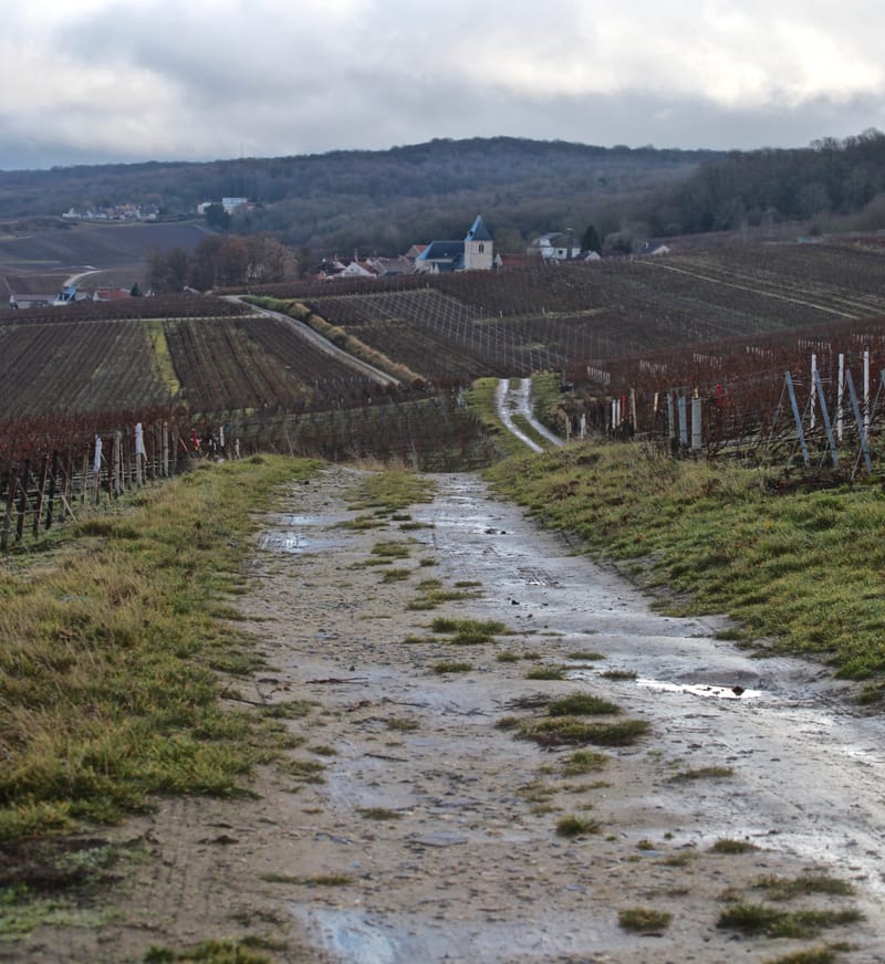4. CHAMPAGNE : Cher pays de mon enfance (carré)