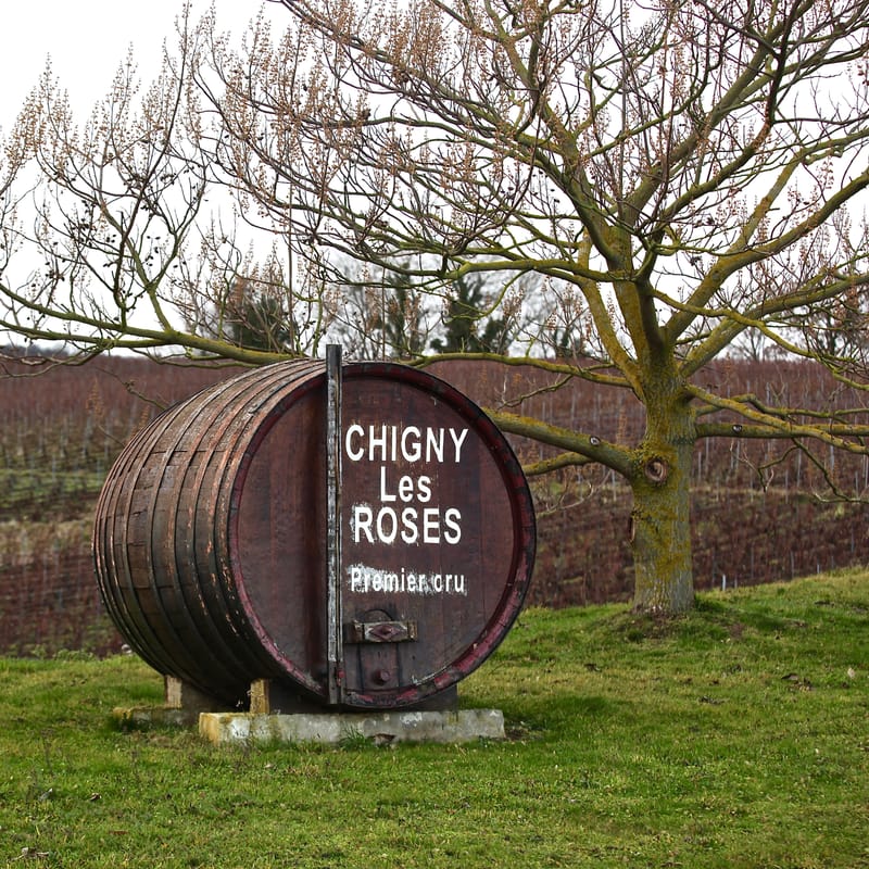 4. CHAMPAGNE : Cher pays de mon enfance (carré)