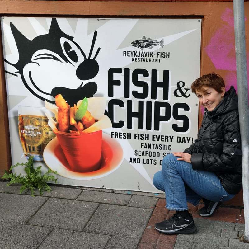 1. La Capitale : Reykjavik City