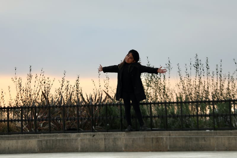 4. Les Inconnus du Trocadéro mis à l'horizontal