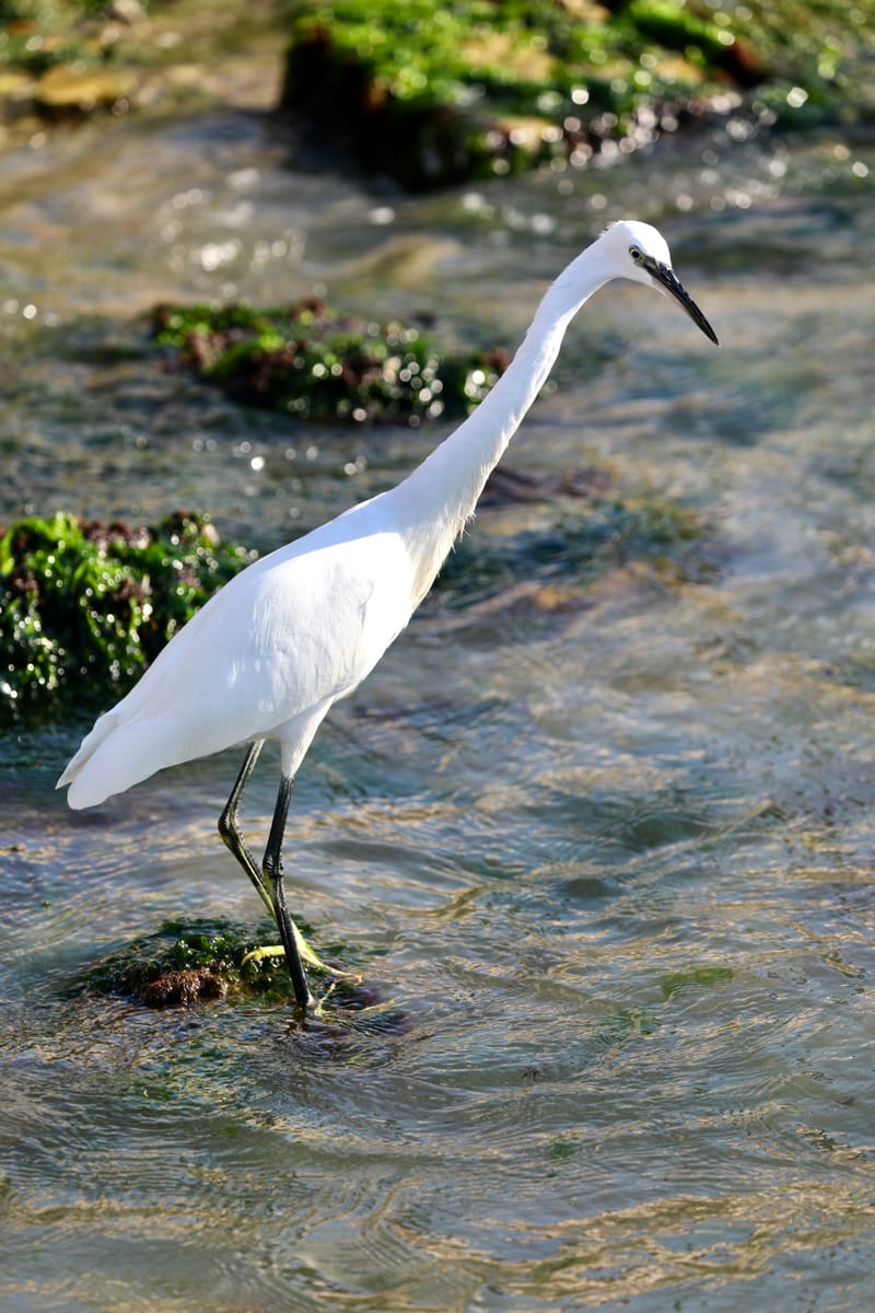 5. Venise : l'Arsenal, en route vers Murano