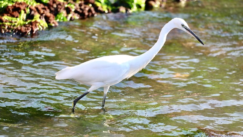 5. Venise : l'Arsenal, en route vers Murano