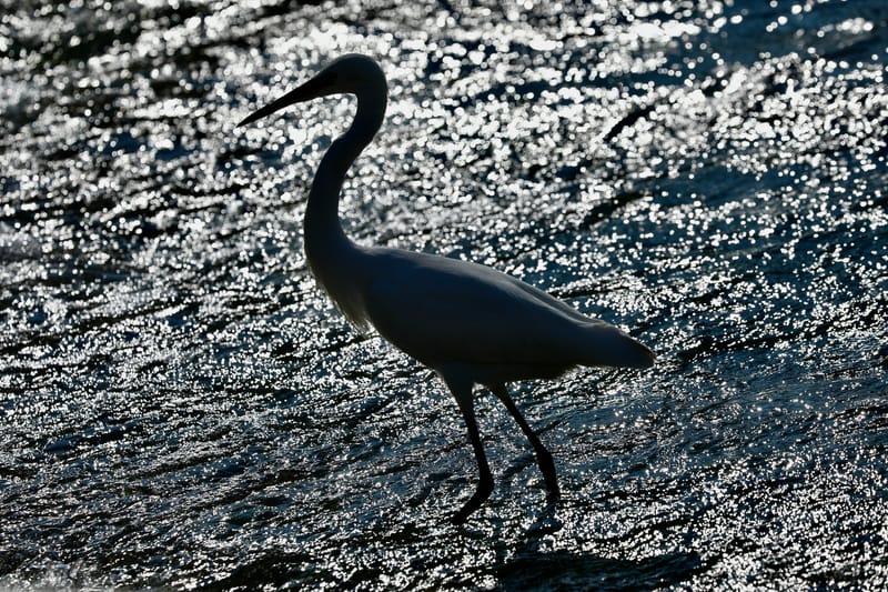 5. Venise : l'Arsenal, en route vers Murano