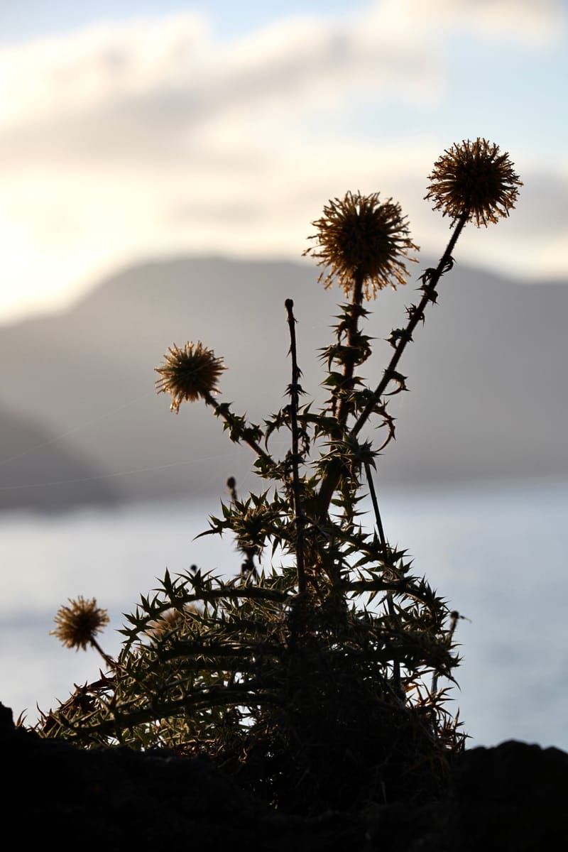 5. GRECE : Santorin, Son port, sa côte et son volcan (VTL)