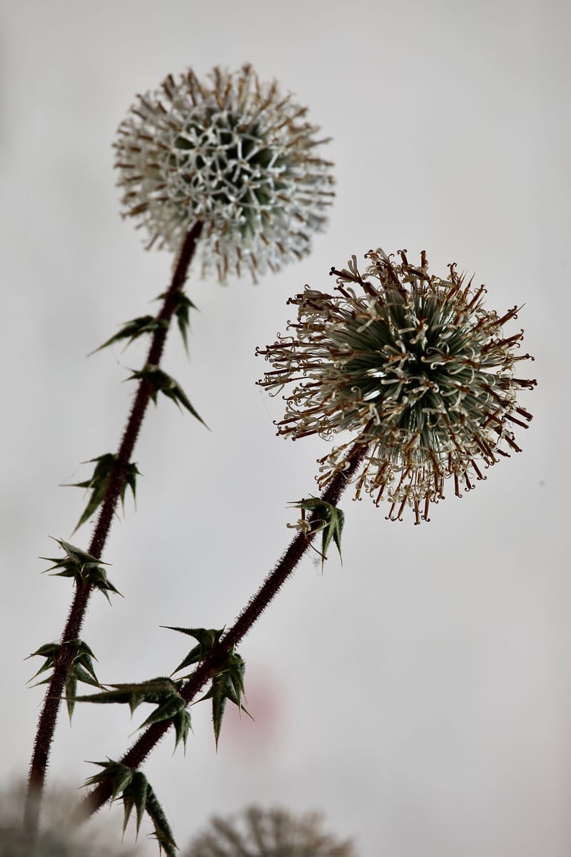 5. GRECE : Santorin, Son port, sa côte et son volcan (VTL)