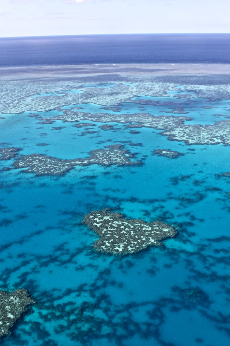 1. TOP de TOP à la verticale