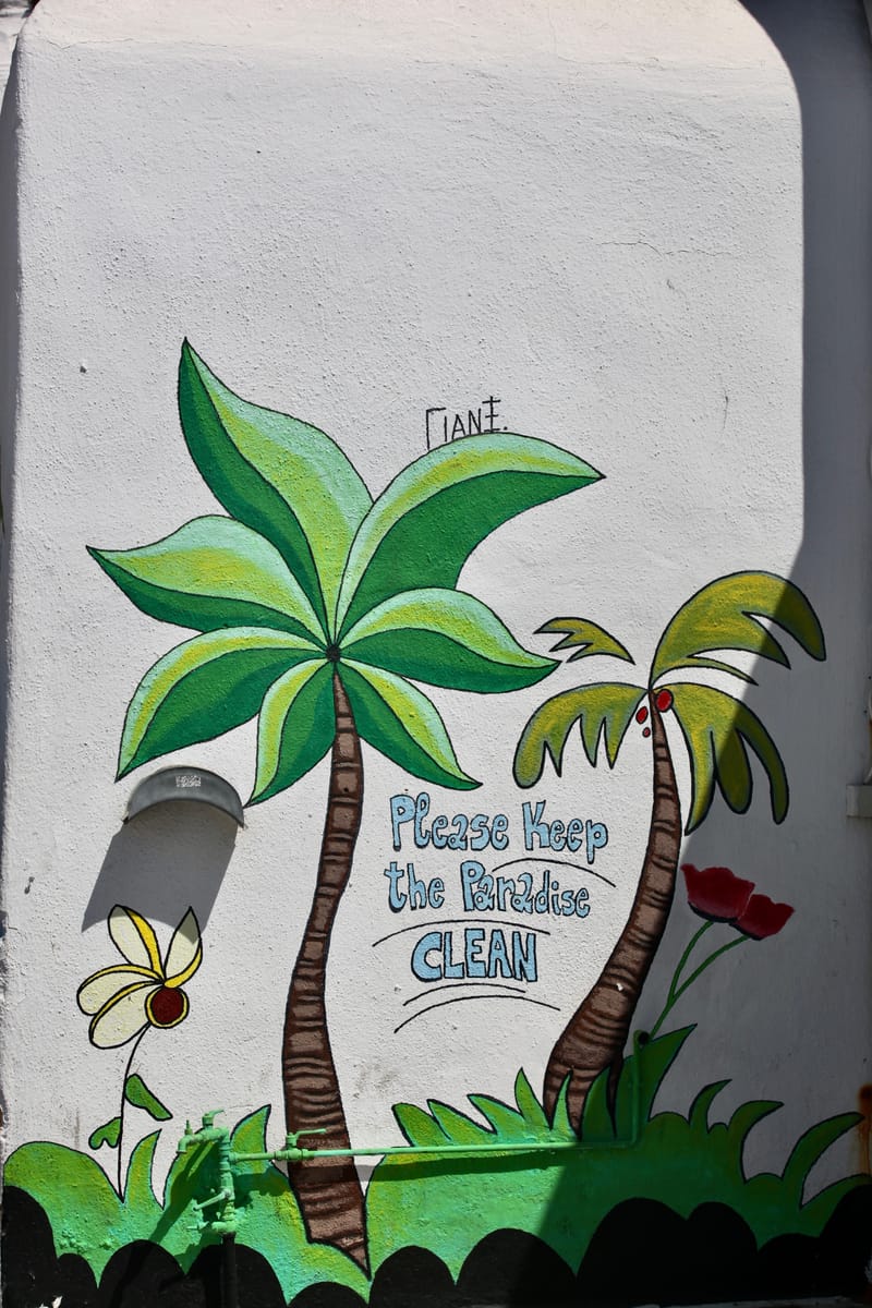 10. GRECE : Mykonos, l'île et sa nature profonde (VTL)