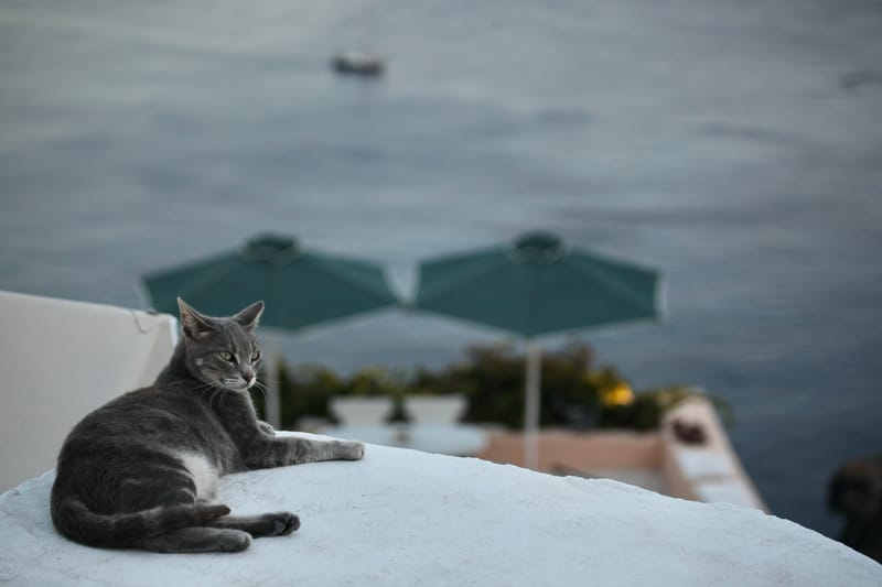 12. GRECE : Selec MYKONOS & NAXOS (HRZ)