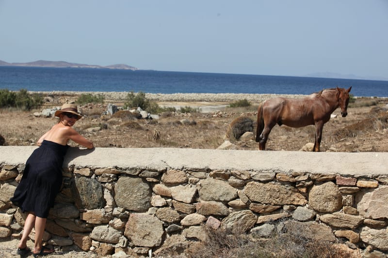 13. GRECE : Selec MYKONOS (HRZ)