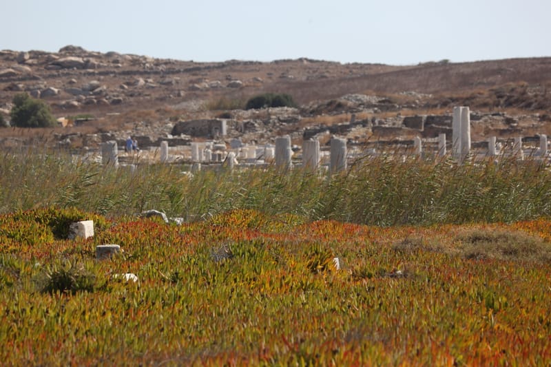 13. GRECE : Selec MYKONOS (HRZ)