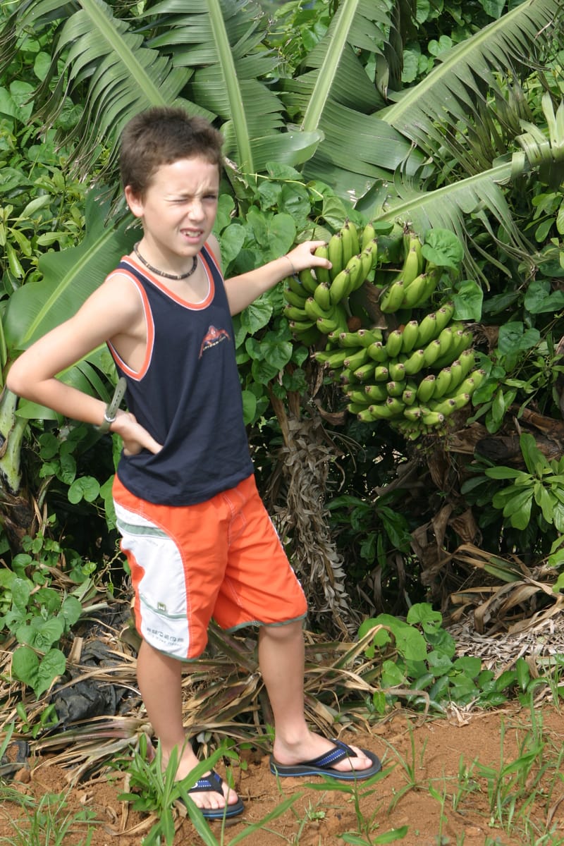 1. Ile Maurice : un overlook pour commencer (VTL)