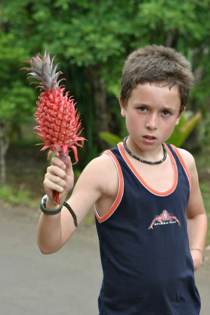 1. Ile Maurice : un overlook pour commencer (VTL)