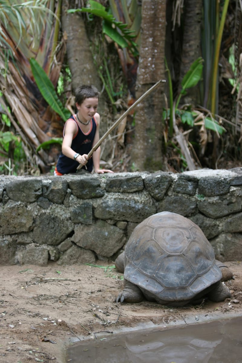 1. Ile Maurice : un overlook pour commencer (VTL)