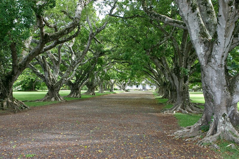 2. Ile Maurice : un tour de l'île à l'horizontal (HRZ)